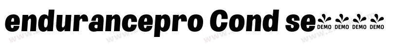 endurancepro Cond se字体转换